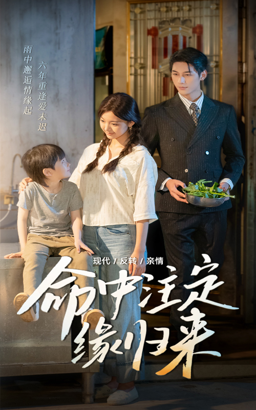 命中注定缘归来(全集)