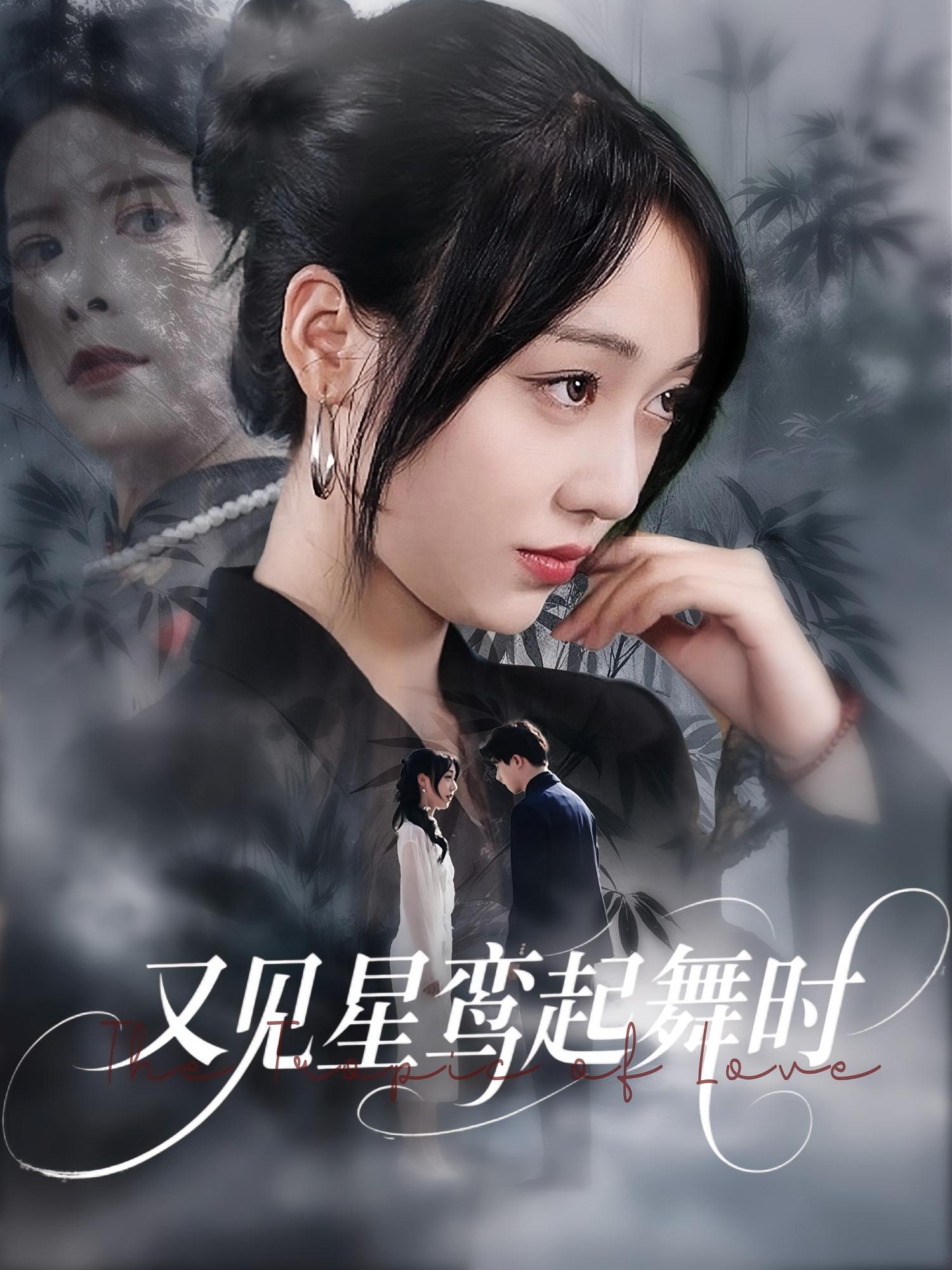 又见星鸾起舞时第63集