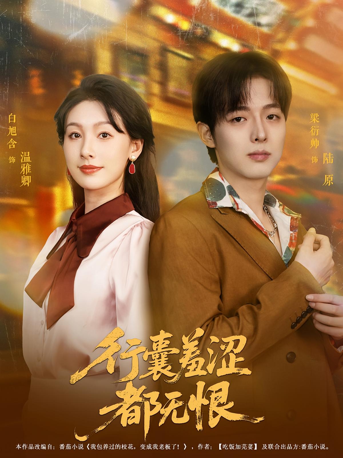行囊羞涩都无恨第53集