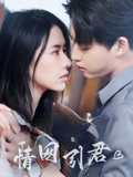 情网引君第18集