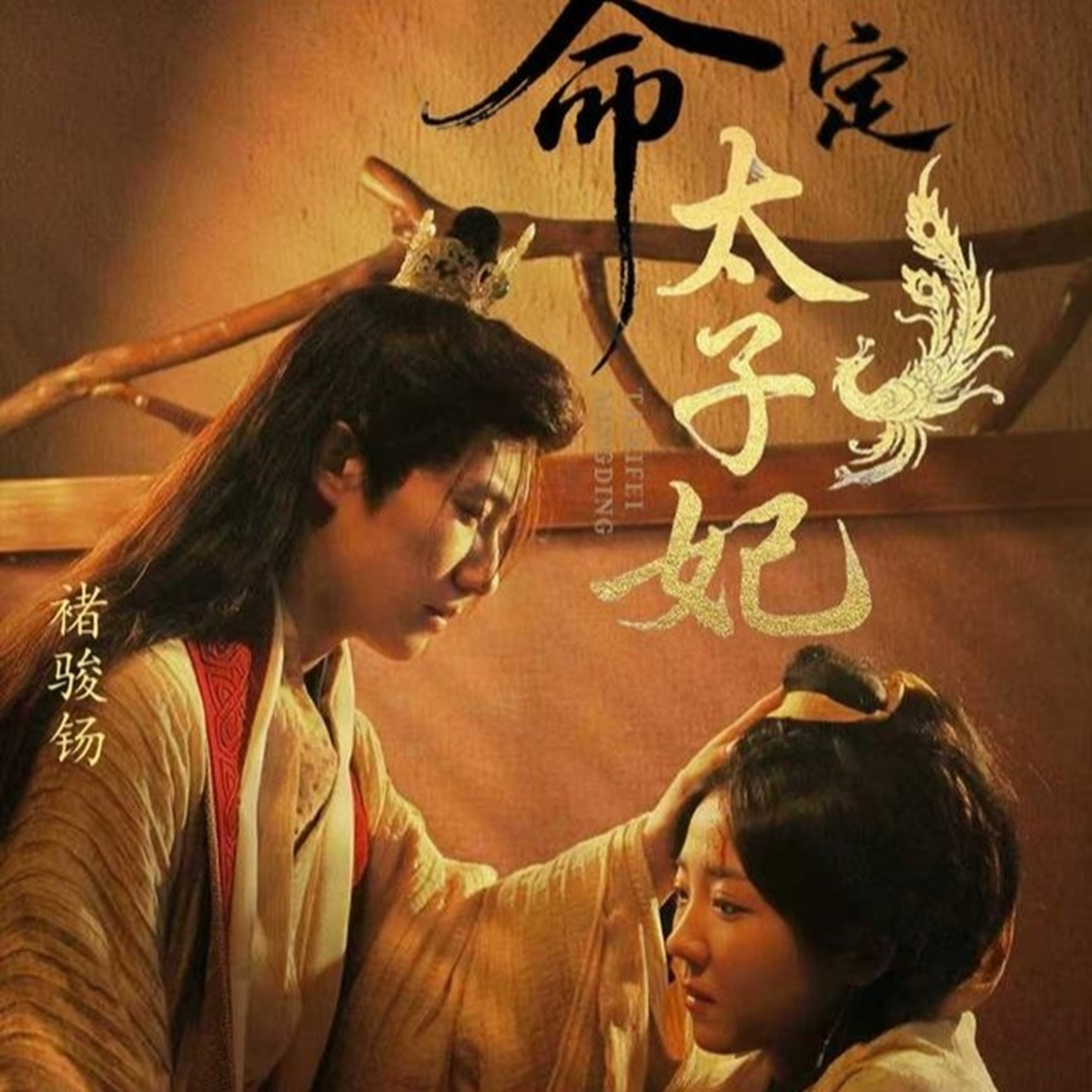 命定太子妃第09集