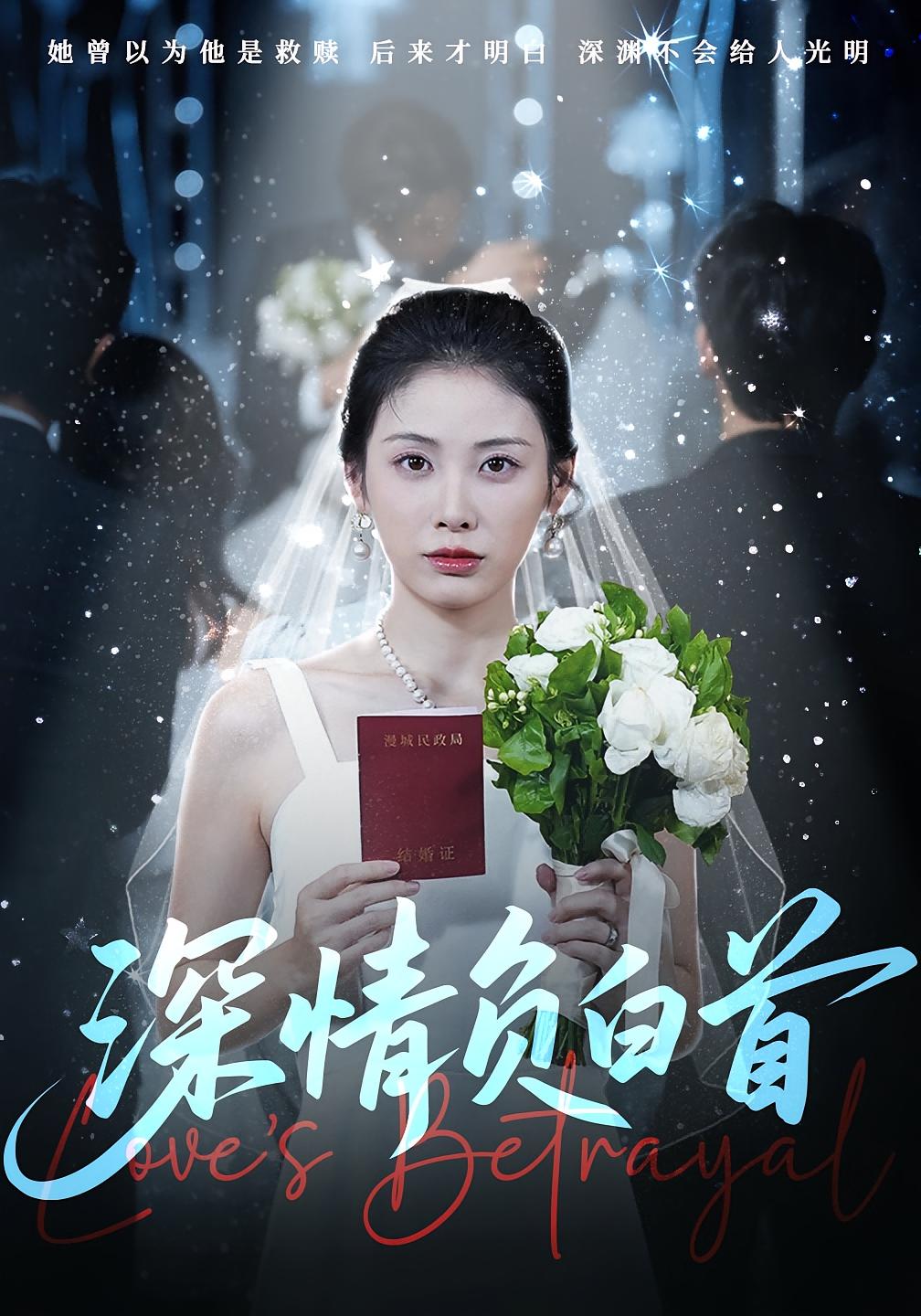 深情负白首(全集)