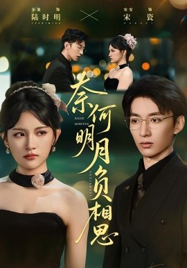 奈何明月负相思(全集)