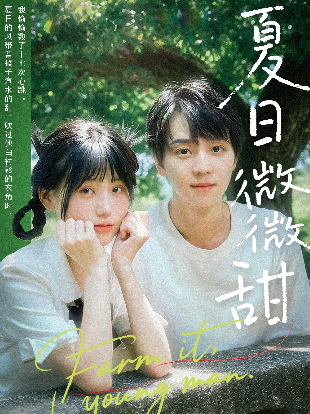 夏日微微甜(全集)