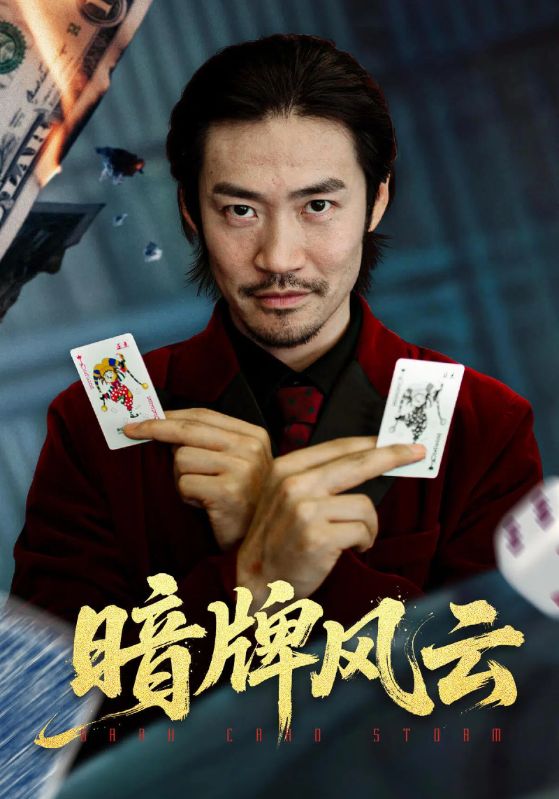 暗牌风云(全集)