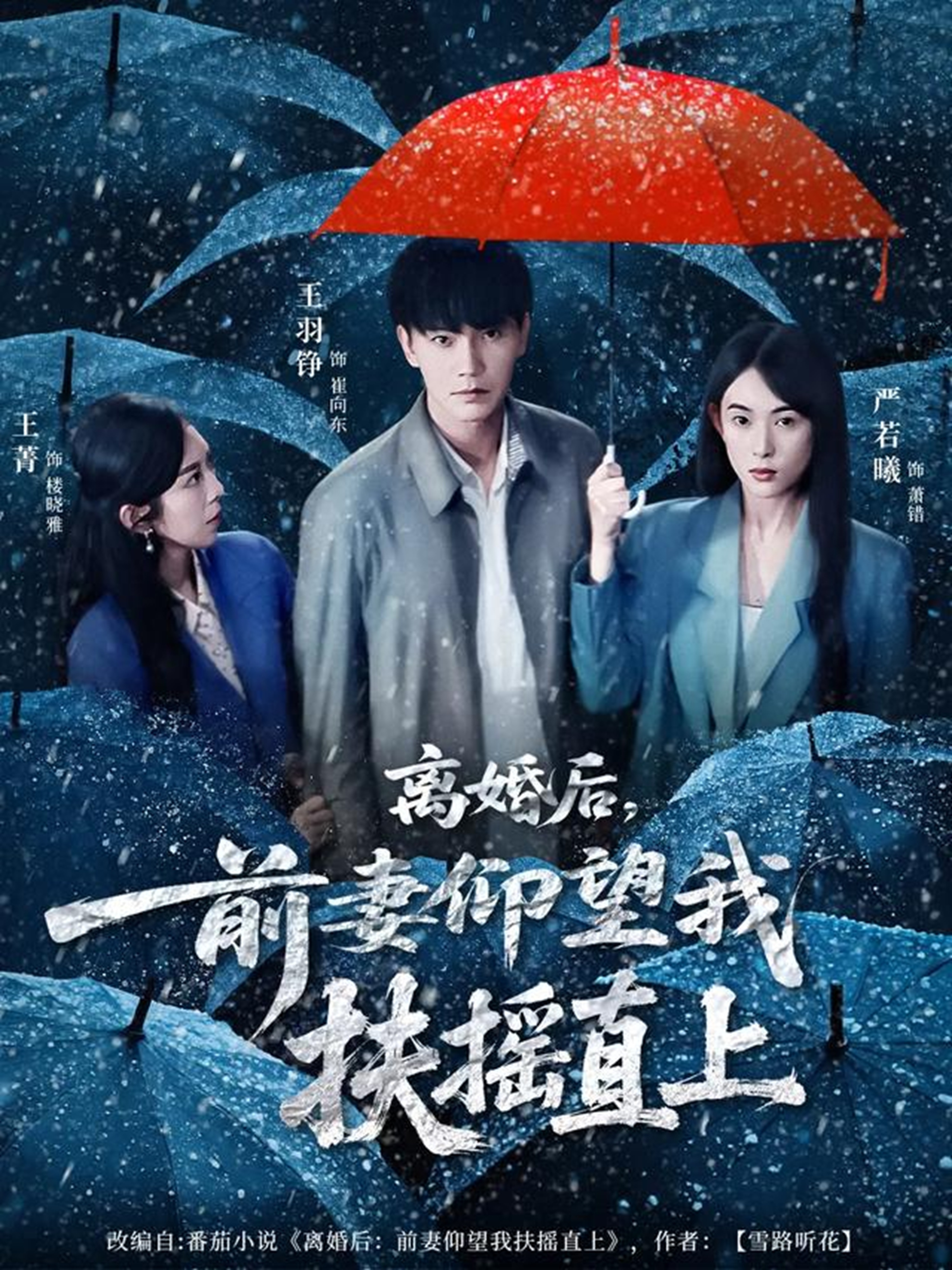 离婚后，前妻仰望我扶摇直上第80集