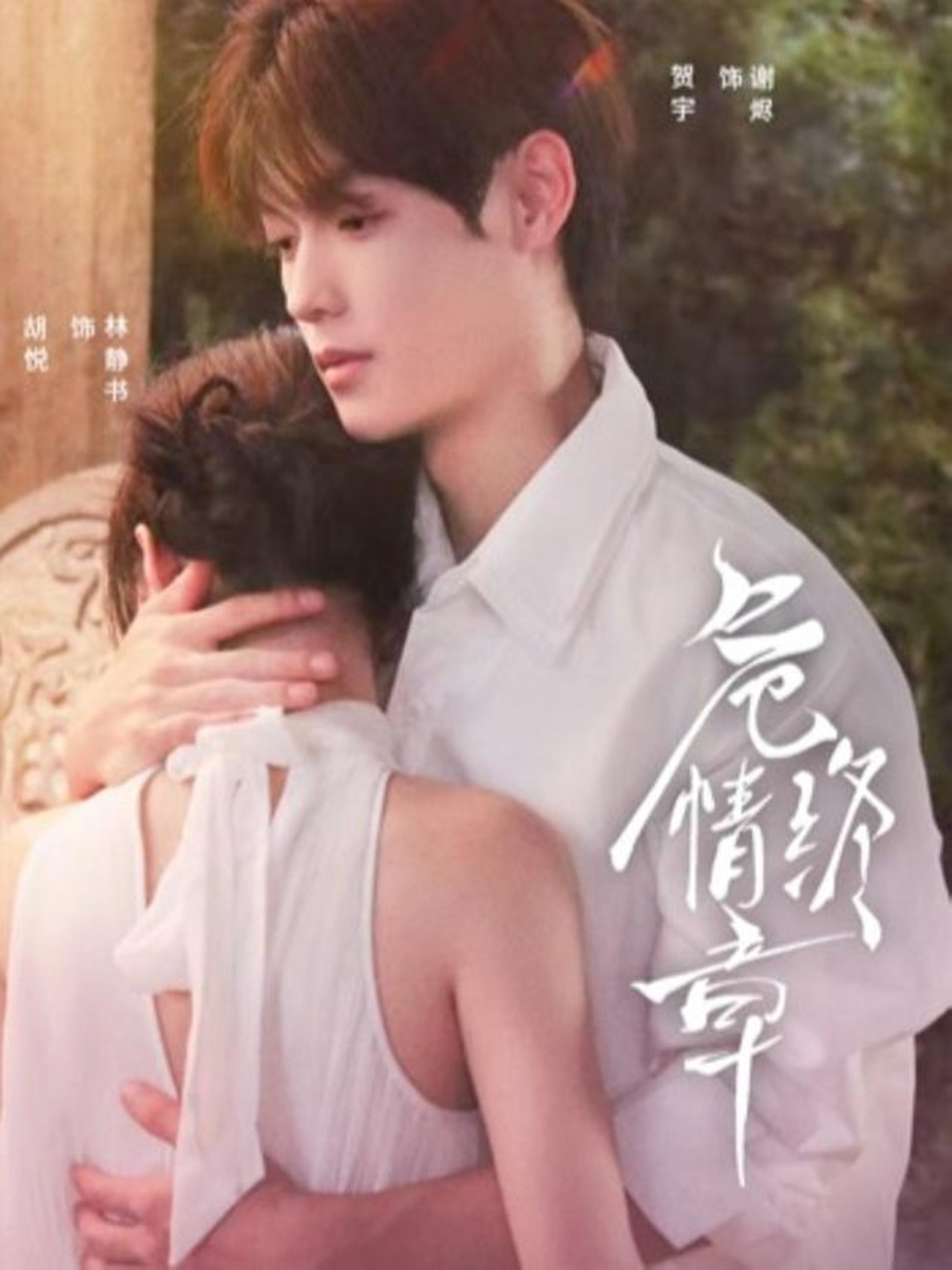 危情终章(全集)