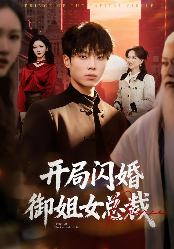 开局闪婚御姐女总裁第42集