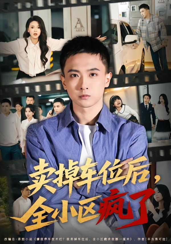 卖掉车位后，全小区疯了(全集)