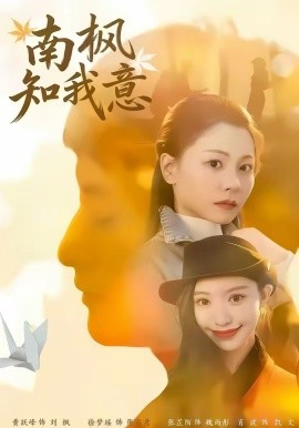 南枫知我意第41集(大结局)