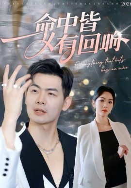 命中皆有回响(全集)