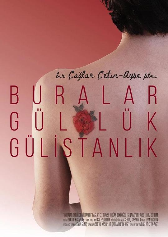 这里是一片玫瑰园