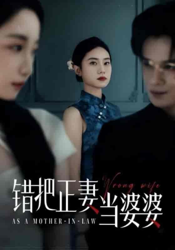 错把正妻当婆婆(全集)
