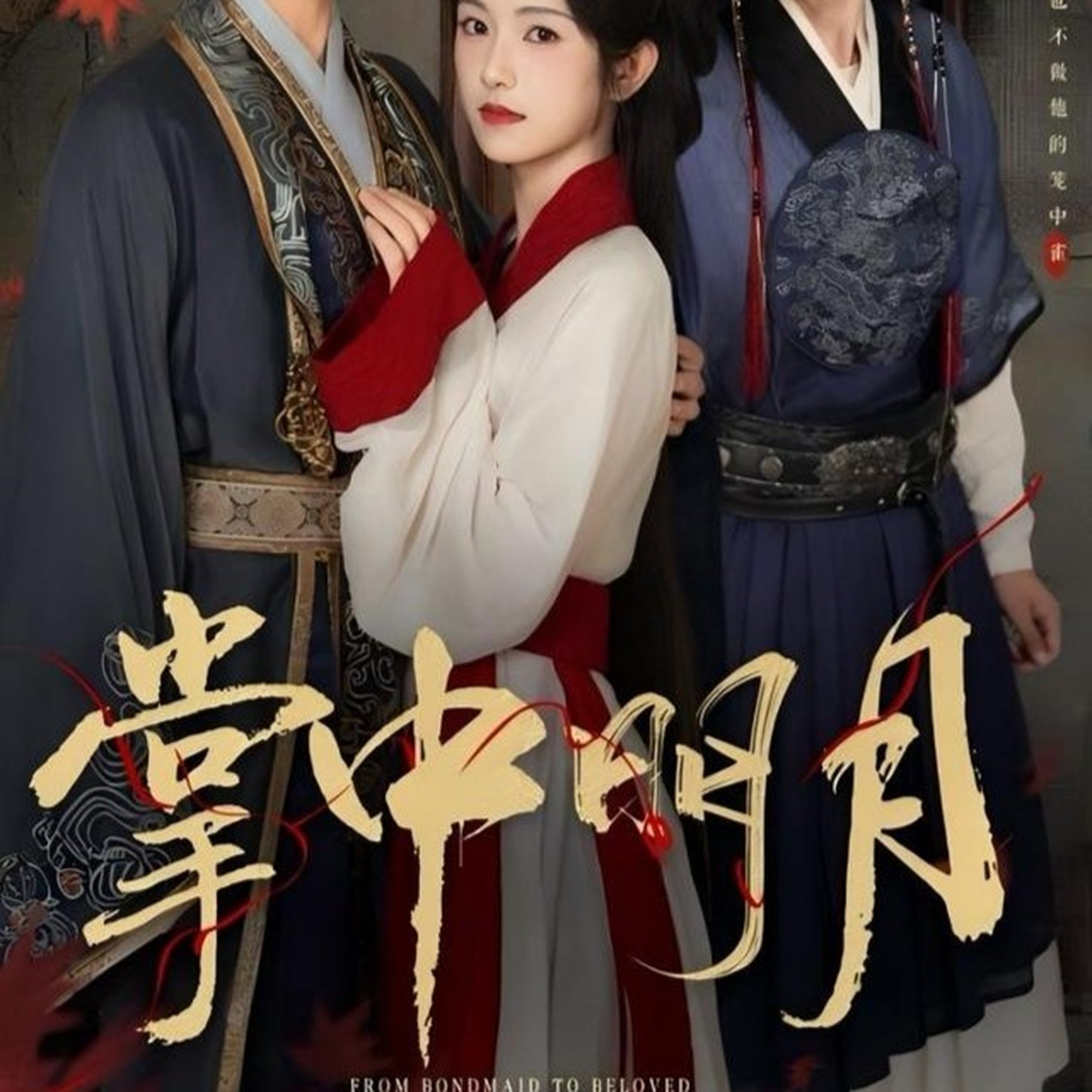 掌中明月(全集)