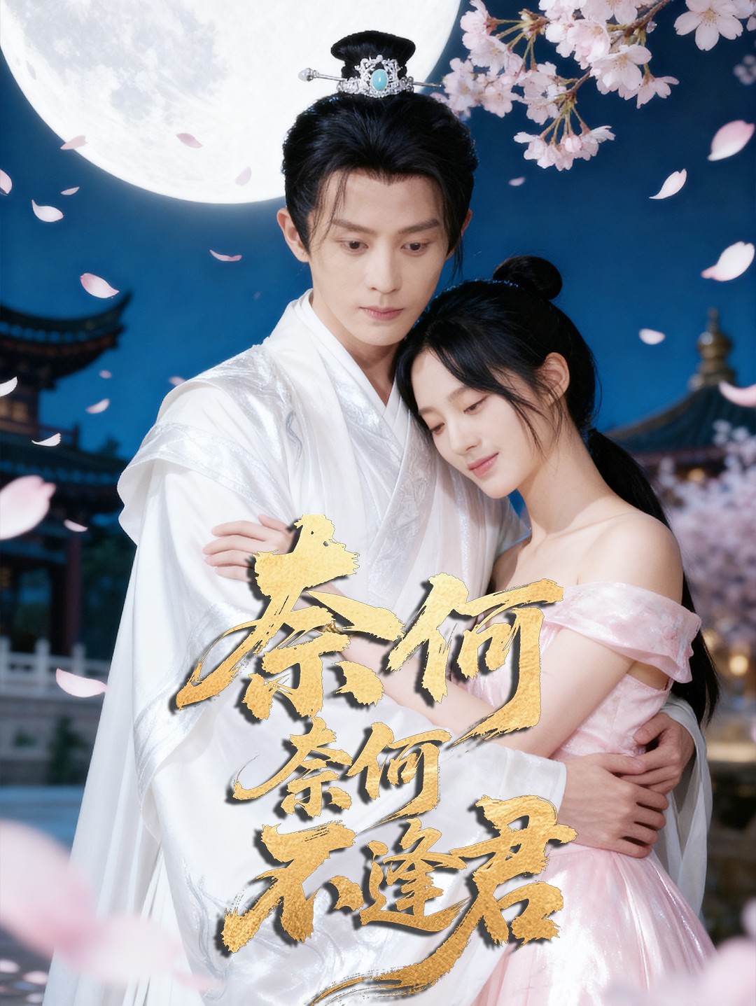 奈何奈何不逢君(全集)